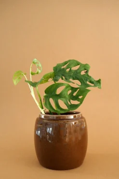 Berit, brun ø 12 cm