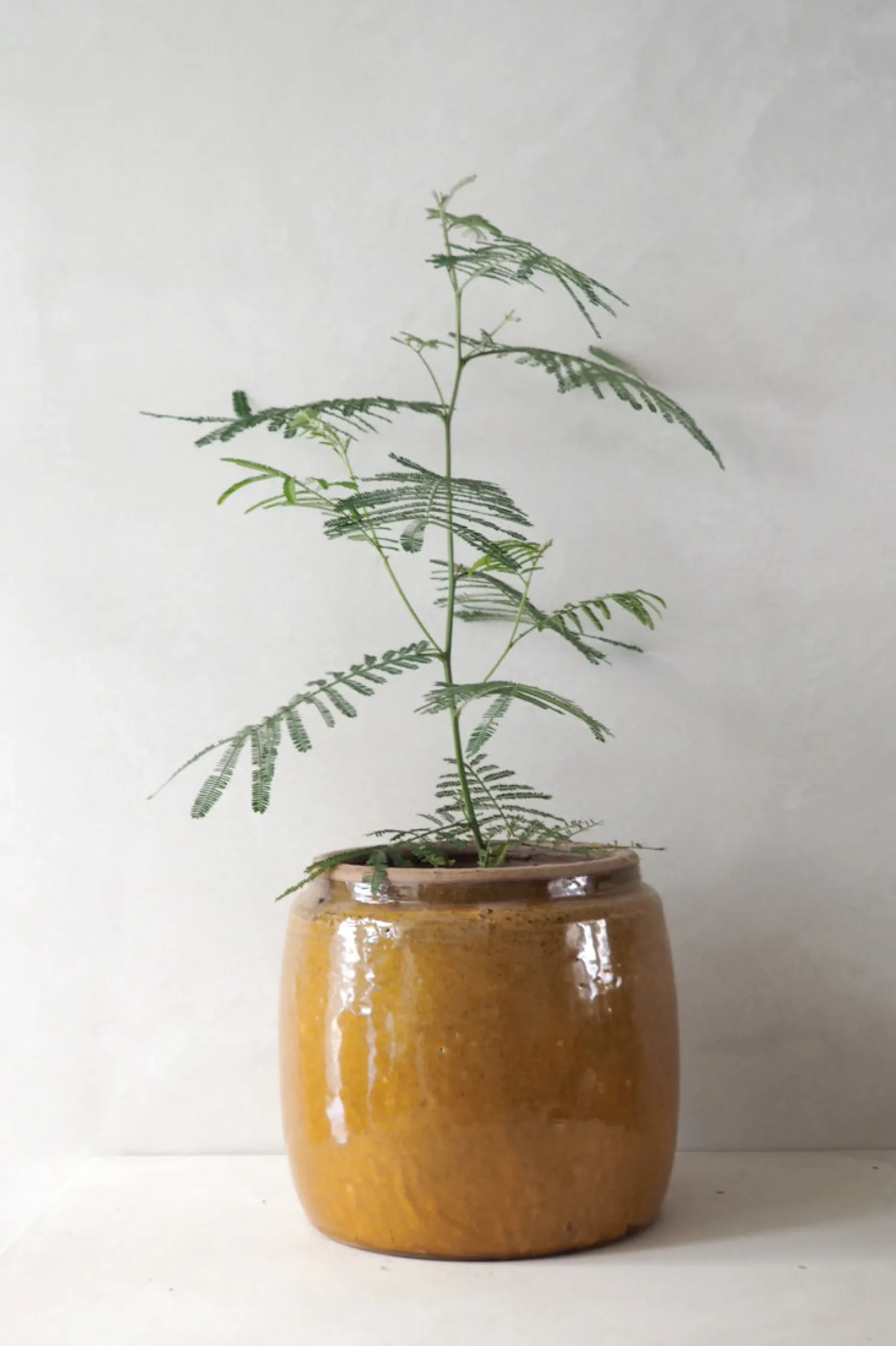 Berit krukken, mustard, ø 22 cm