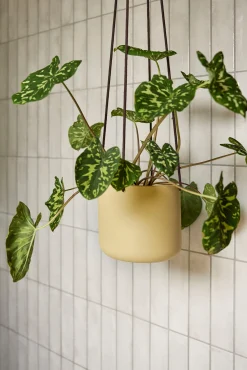 Bloom hængekrukke, sand ø25