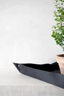 Bundle : Pro omplantning