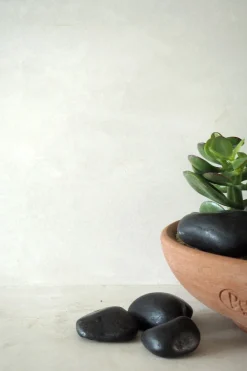 Bundle : Pro omplantning