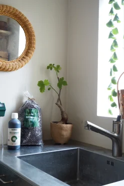 Bundle : Pro plantepleje