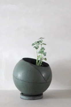 Dirty Roots - Tau Ceti