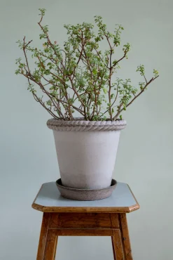 Emilia krukke, raw grey