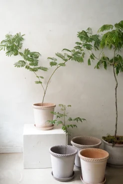 Emilia krukke, raw grey