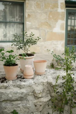 Emilia krukke, raw rosa