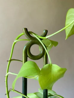 FOLK oni plantestøtte, grøn