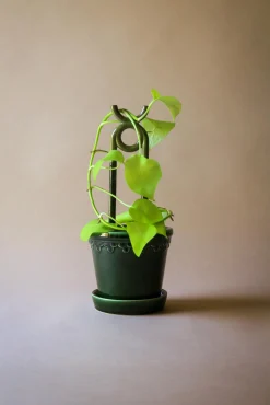 FOLK oni plantestøtte, grøn