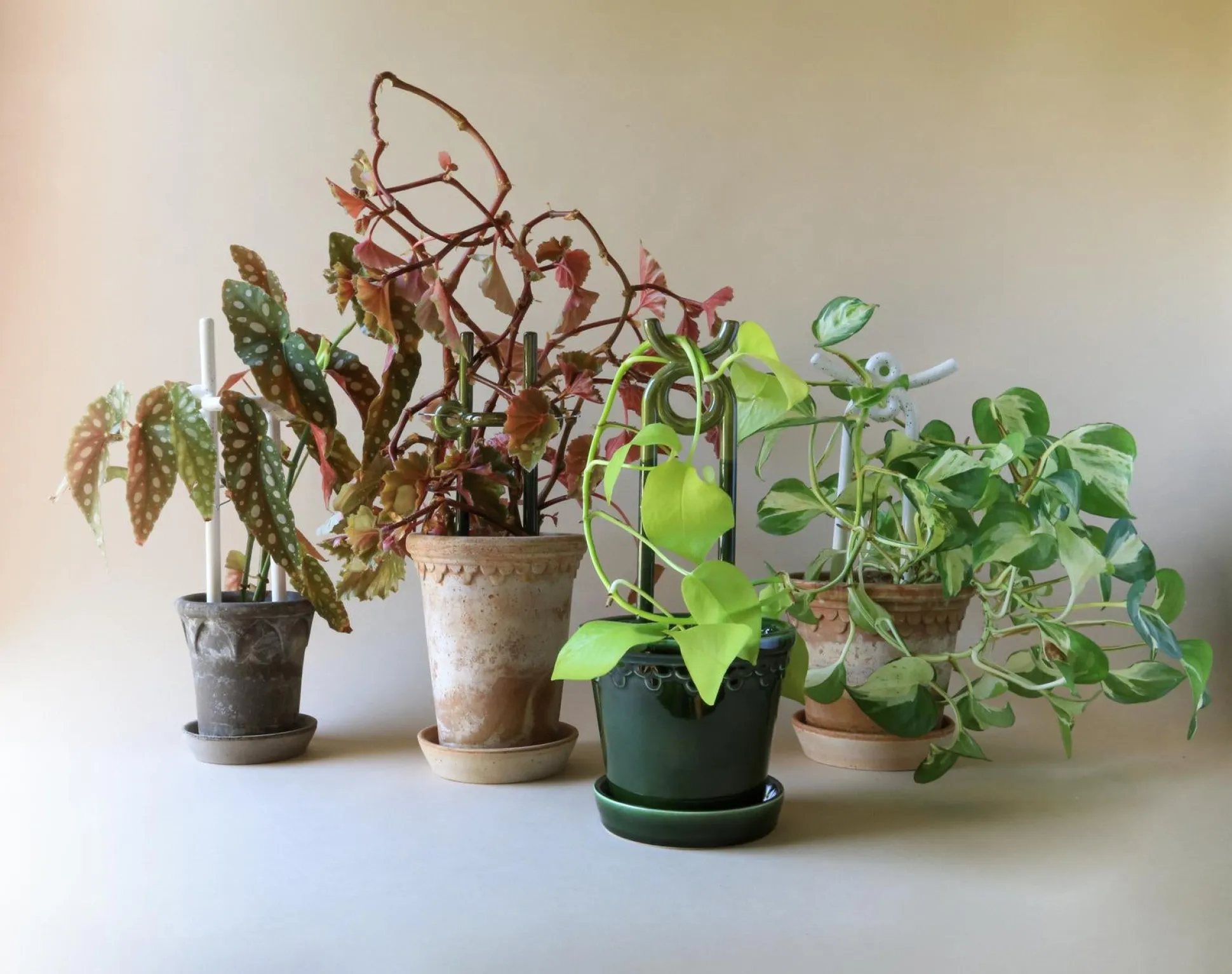 FOLK yuma plantestøtte, grøn