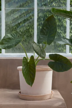 Galestro gulvkrukke, raw rosa