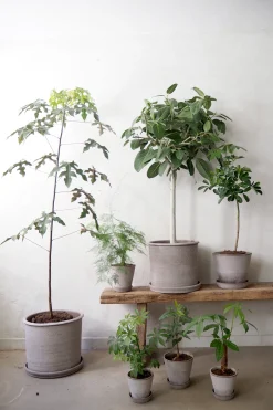 Gartnerens plantepakke - Raw Grey