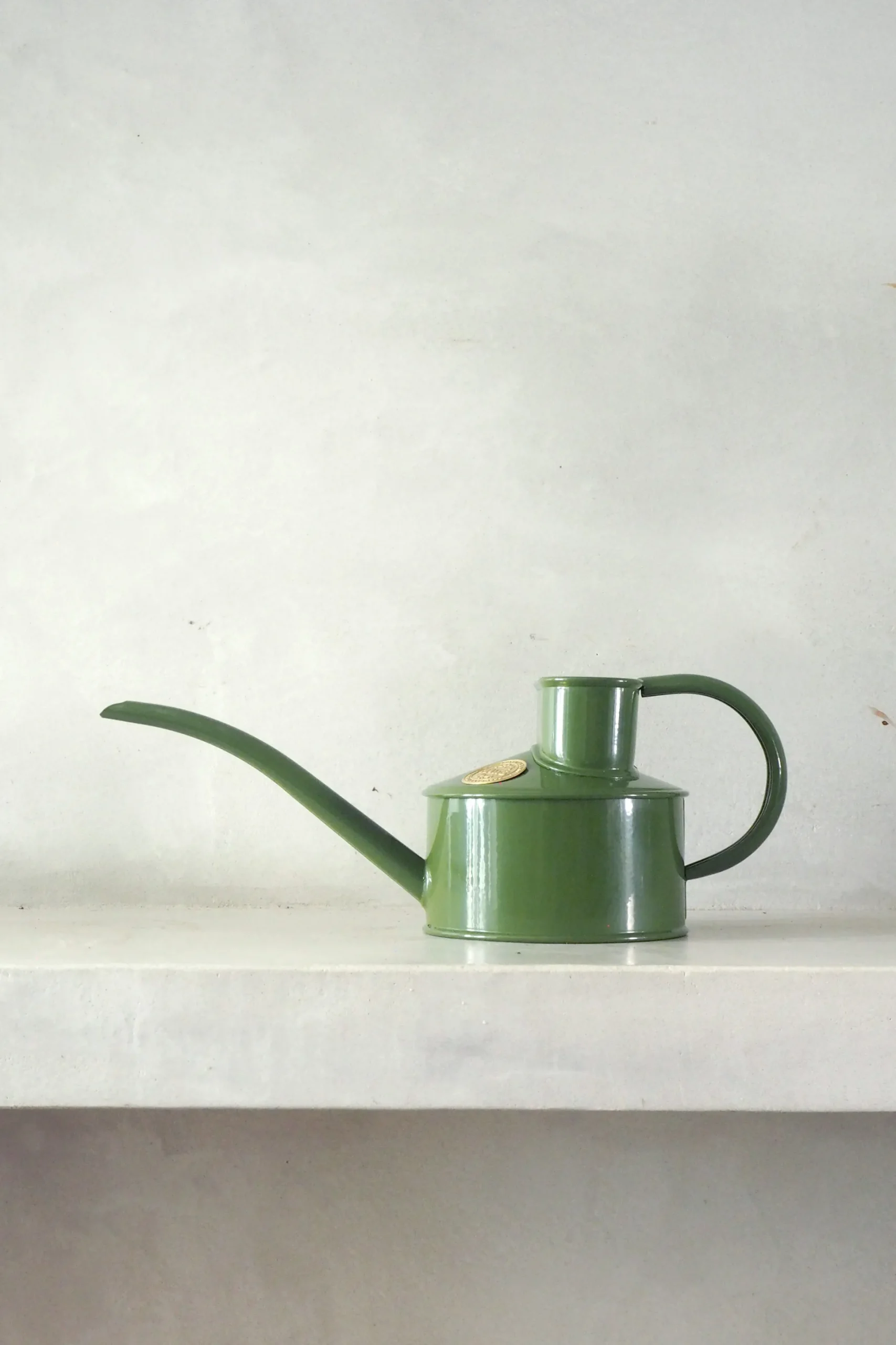 HAWS Vandkande, fern green, 0,5 L