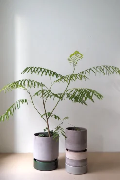 Hoff krukke, raw grey + grøn underskål