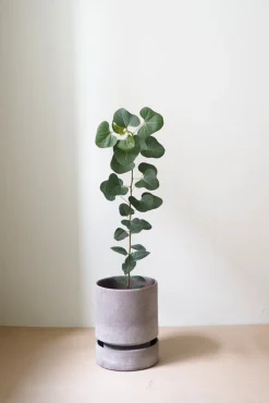 Hoff krukke, raw grey + raw grey underskål, gulvkrukke