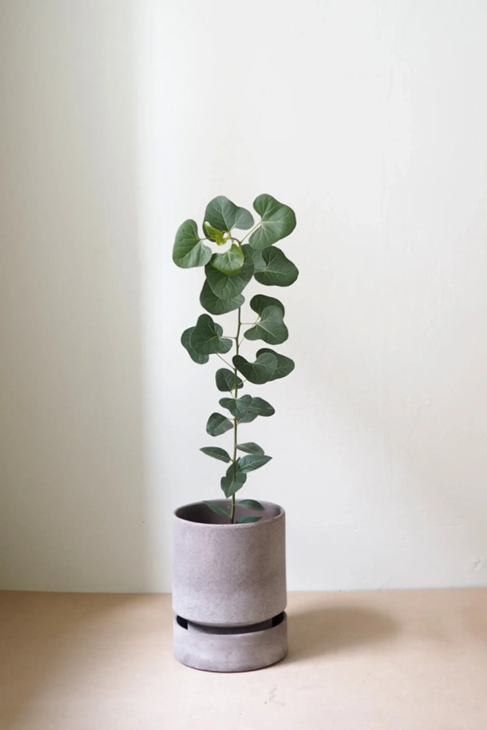 Hoff krukke, raw grey + raw grey underskål, gulvkrukke