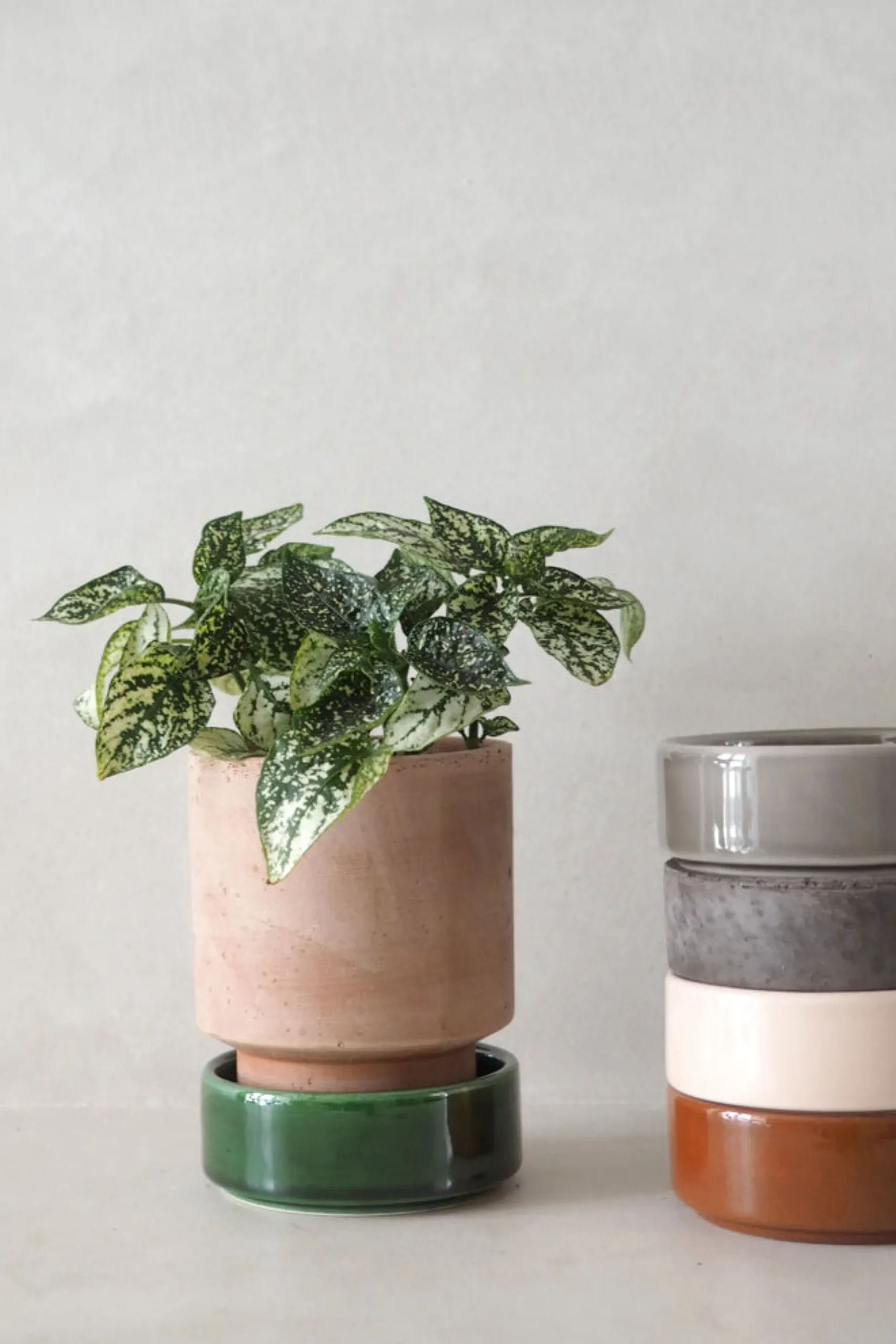 Hoff krukke, raw rosa + grå underskål