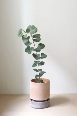 Hoff krukke, raw rosa + raw grey underskål