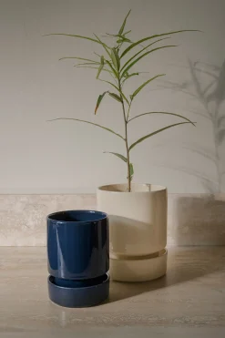 Hoff krukke, Sapphire Blue