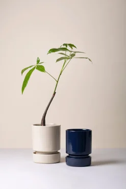 Hoff underskål, glaseret Sapphire Blue