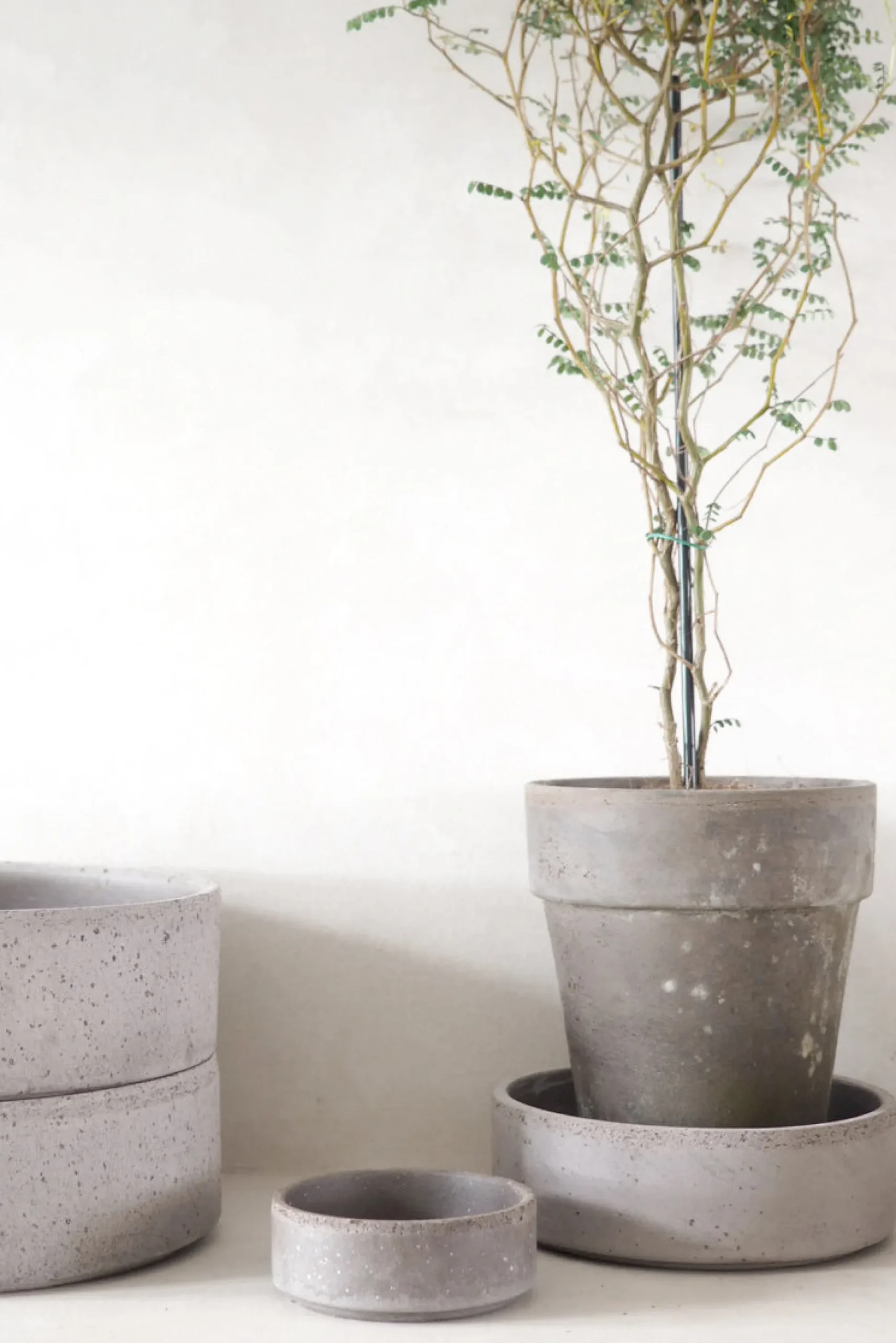 Hoff underskål, raw grey