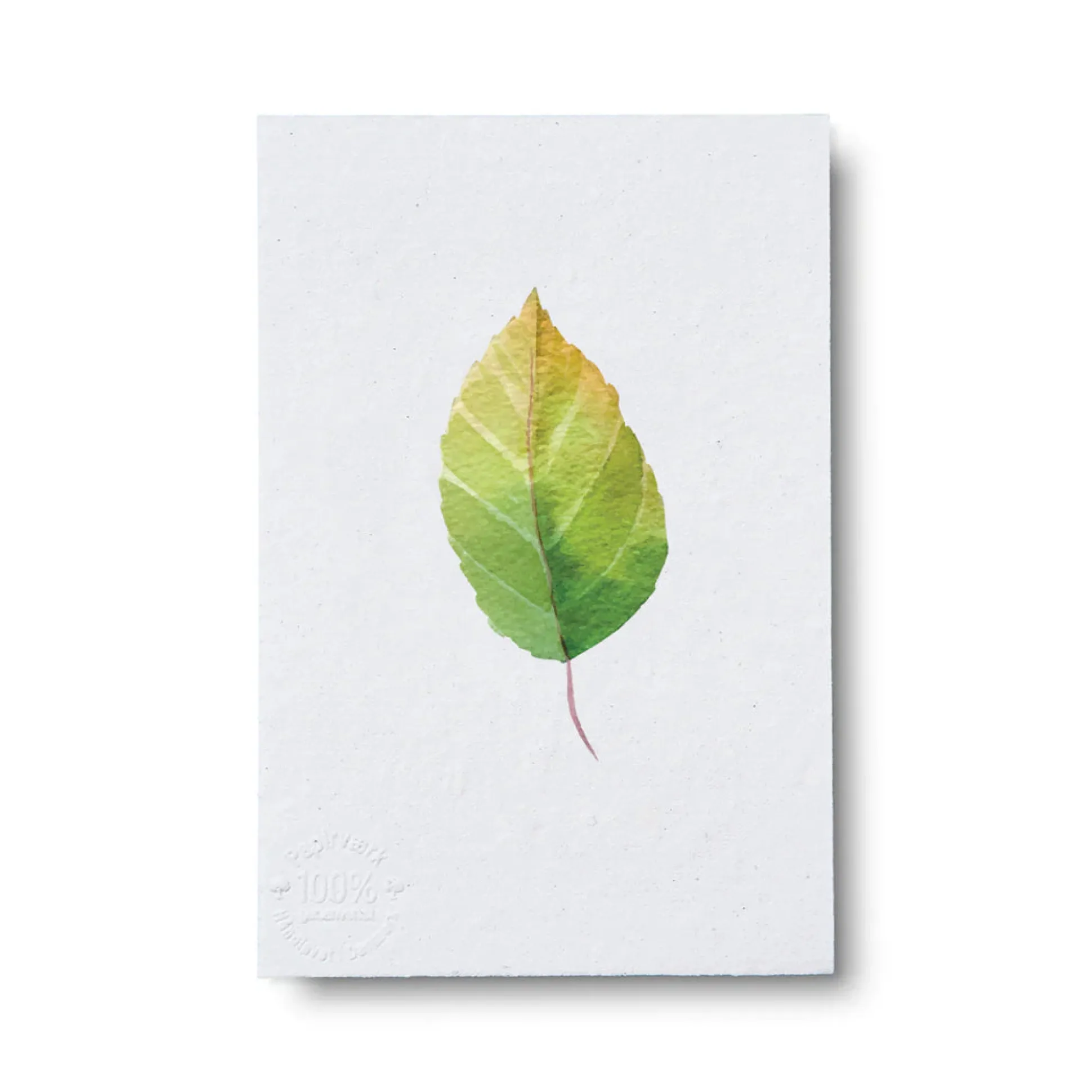 Kort - blad no. 3 - 100% genanvendt papir