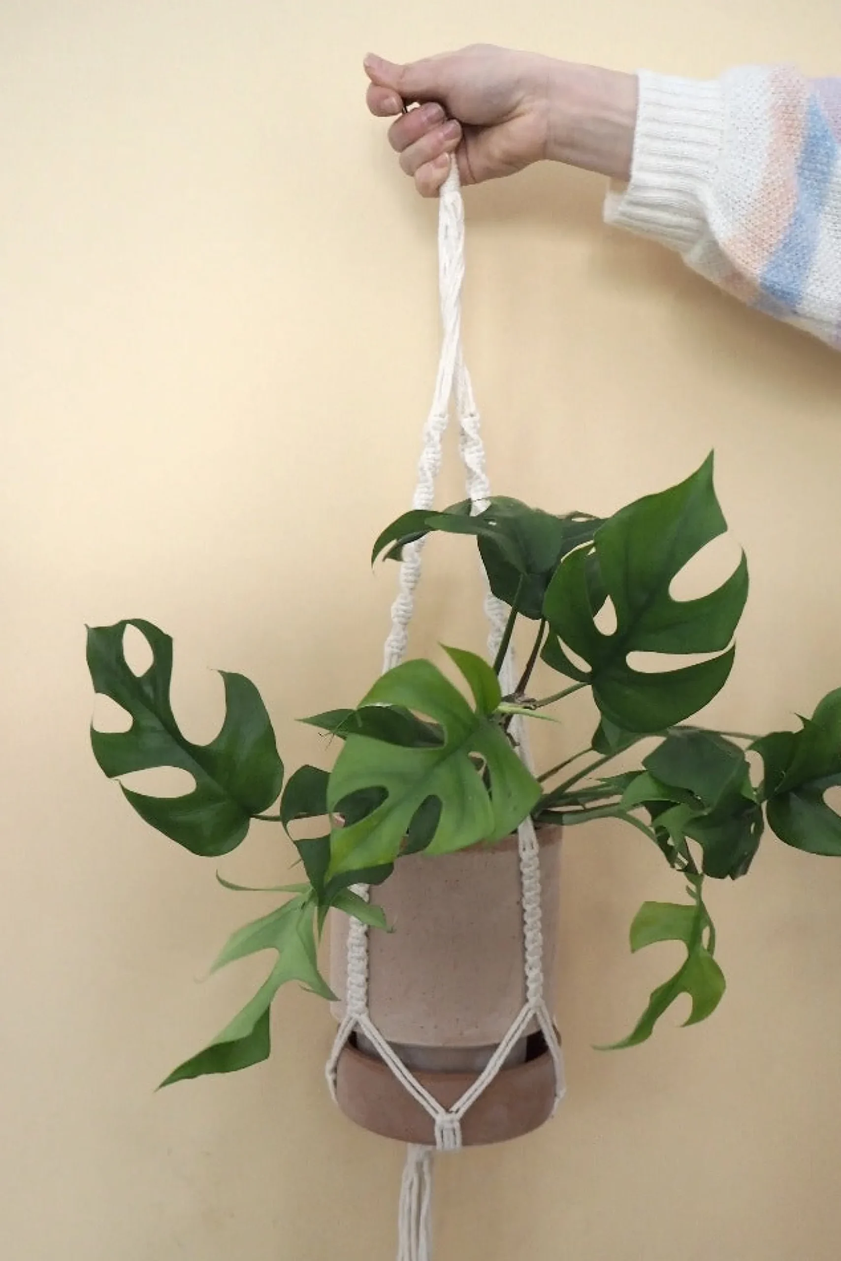 Macramé planteophæng