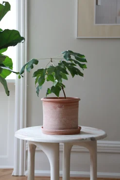 Modena gulvkrukke - raw rosa