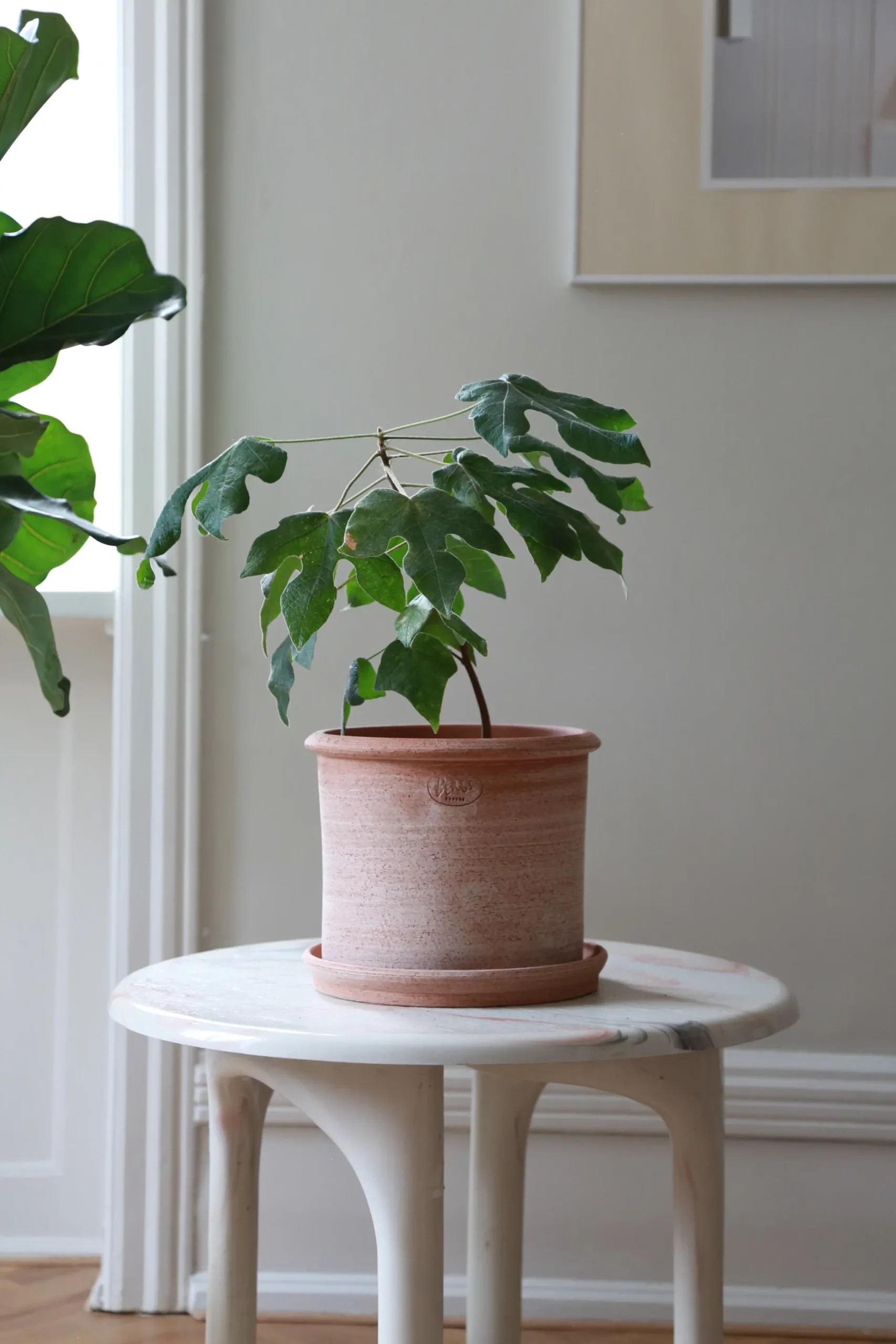 Modena gulvkrukke - raw rosa