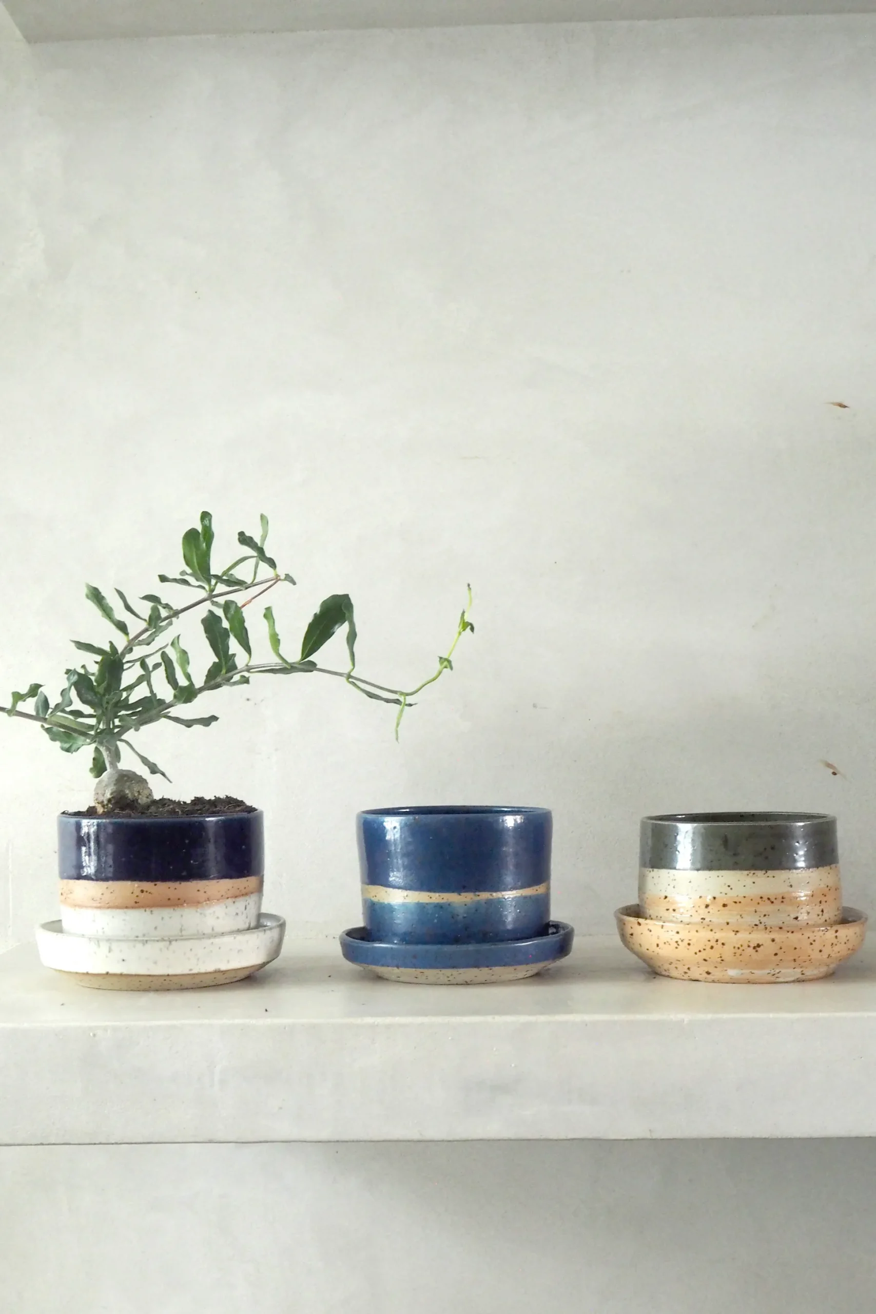 Nina Frigg medium no. 1