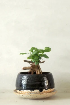 Nina Frigg medium no. 4