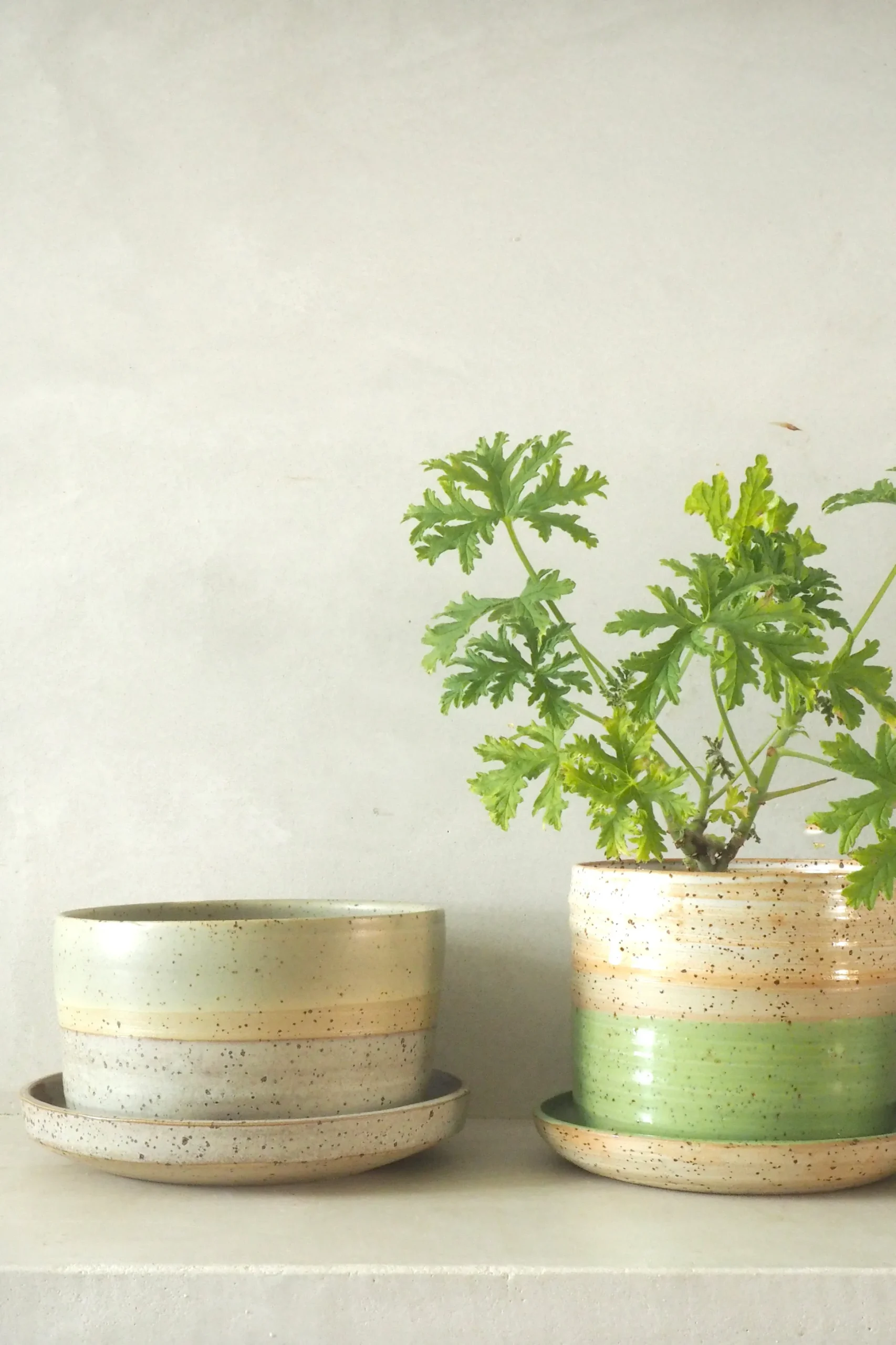 Nina Frigg stor no. 7