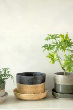 Nina Frigg stor no. 11