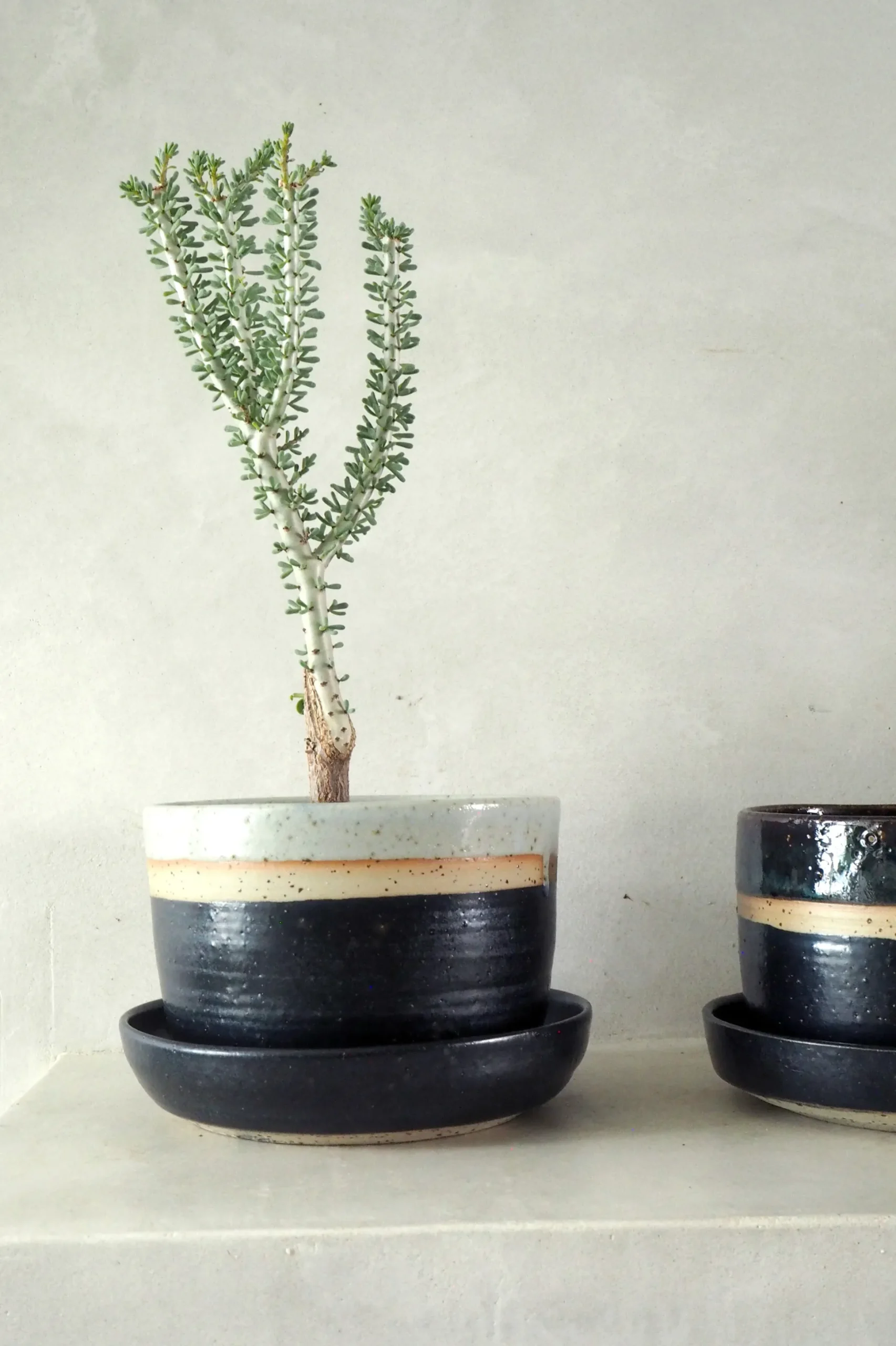 Nina Frigg stor no. 2