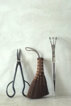 Pro Bonsai starter kit