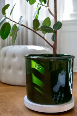 Rolling stones - rulleplade til gulvplanter