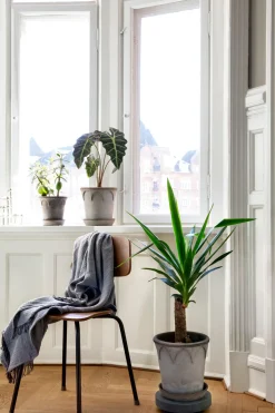 Rolling stones - rulleplade til gulvplanter