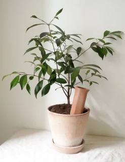 Selvvandingscylinder