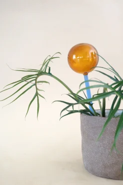 Selvvandingsglas - Amber/Blå