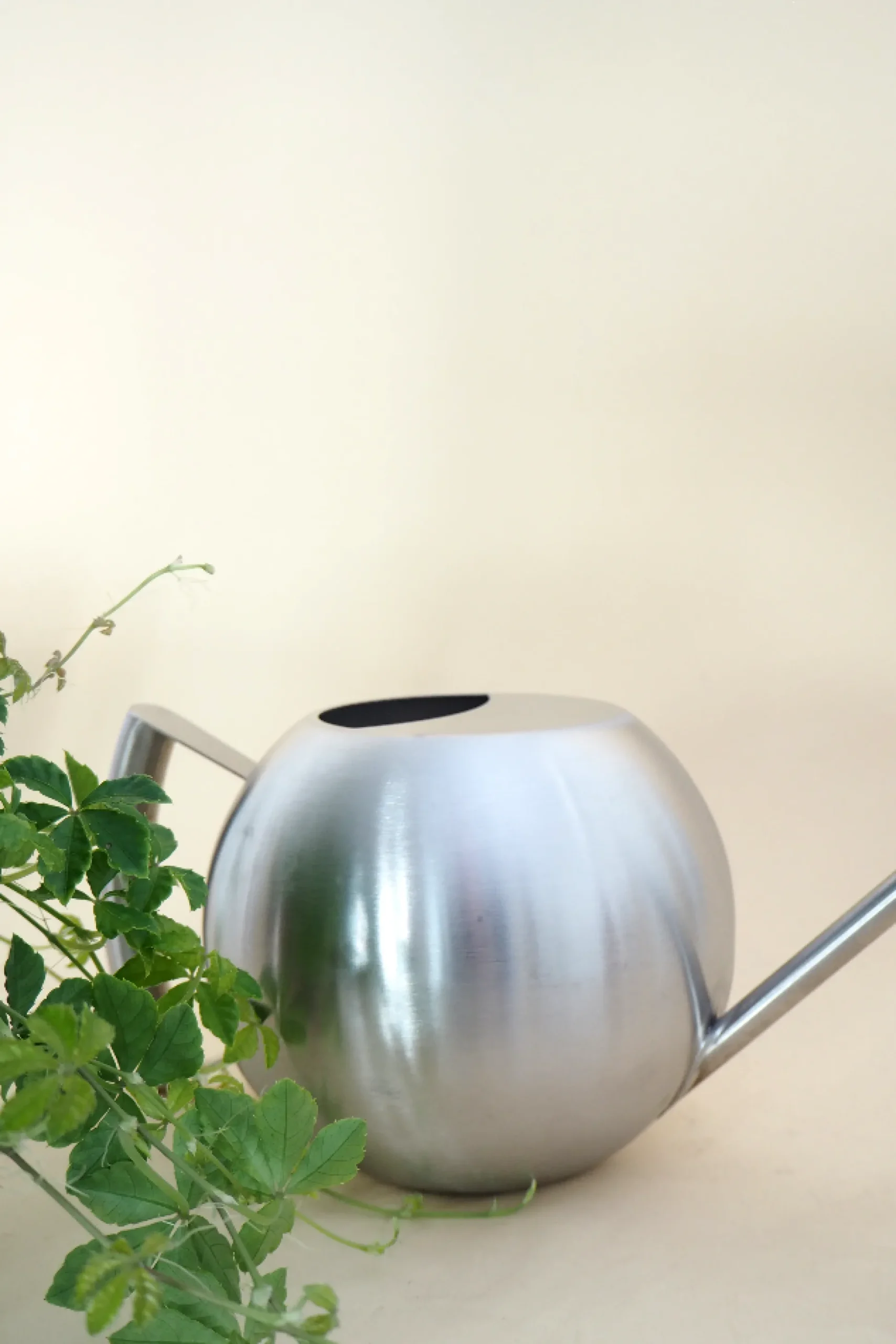 Stainless steel, rund vandkande