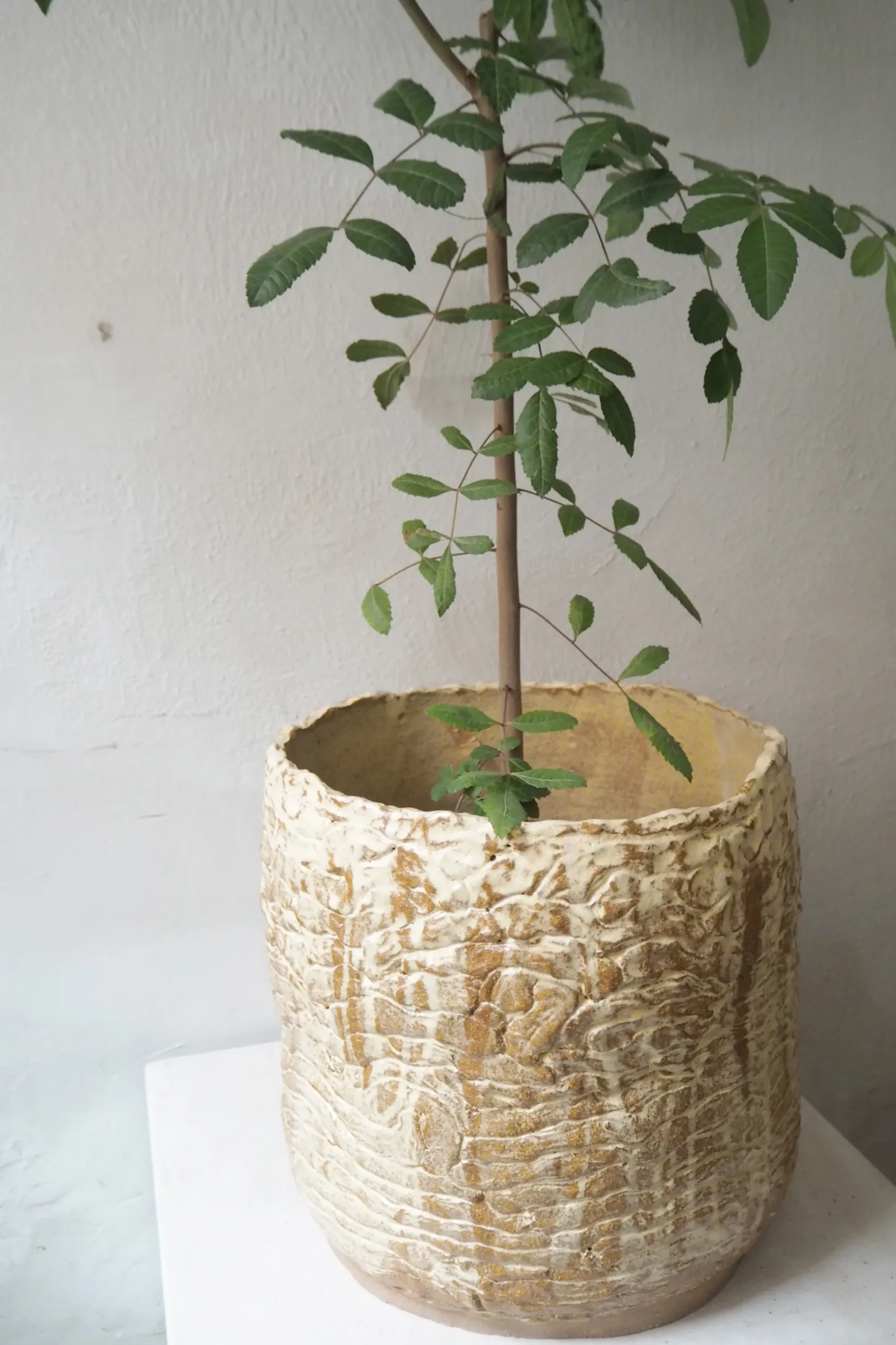 StineMei - Wood Yellow