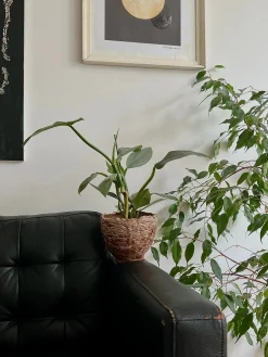 StineMei krukke - red