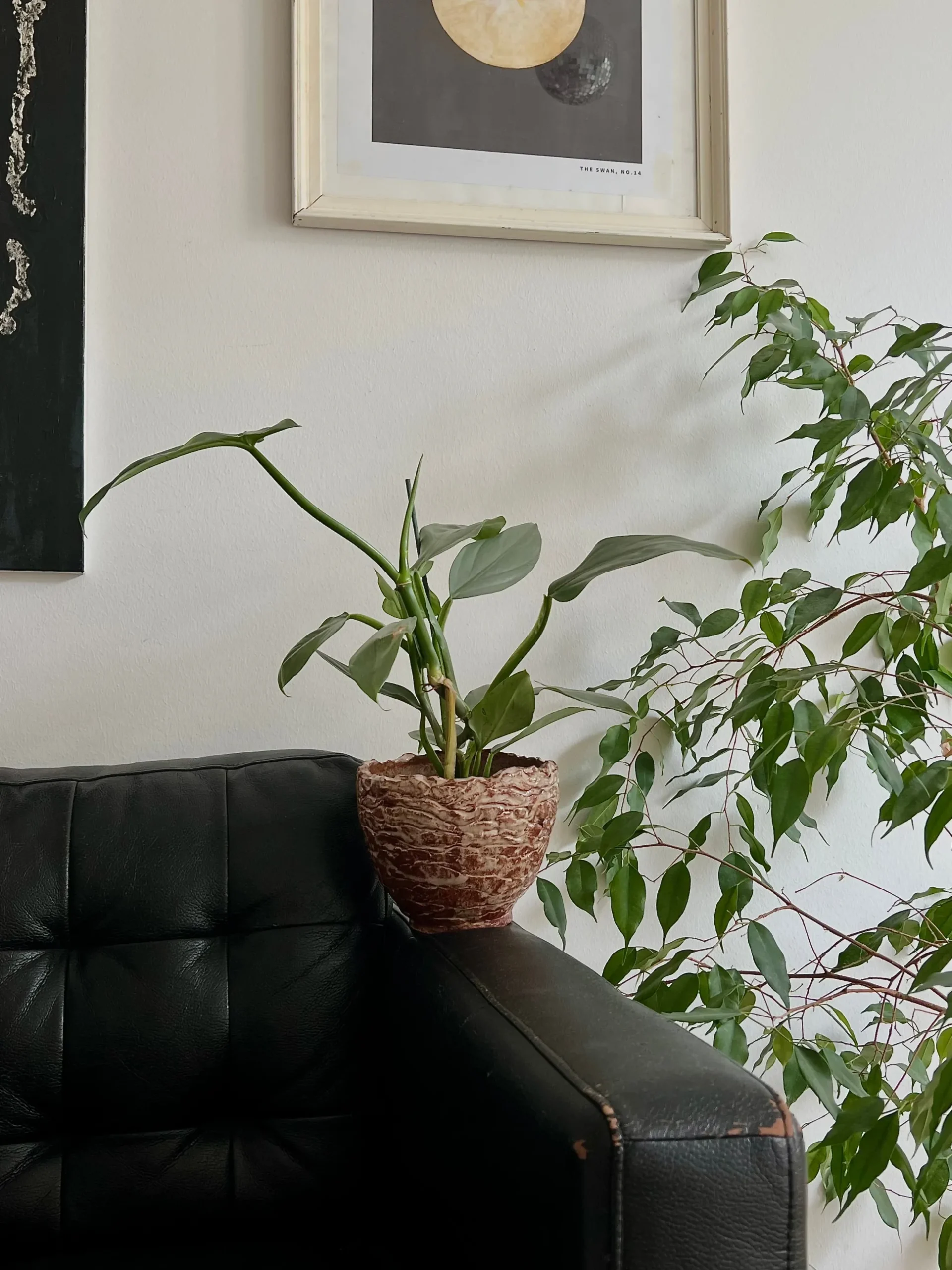 StineMei krukke - red