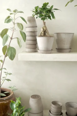 Terracotta krukke - grå