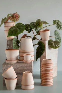 Terracotta krukke - rosa