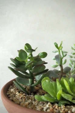 Topping sten - Beige