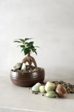 Topping sten - Natural