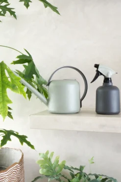 Vandkande, lysegrøn