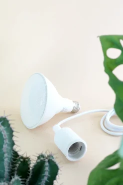 Vækstpære fuld spektrum