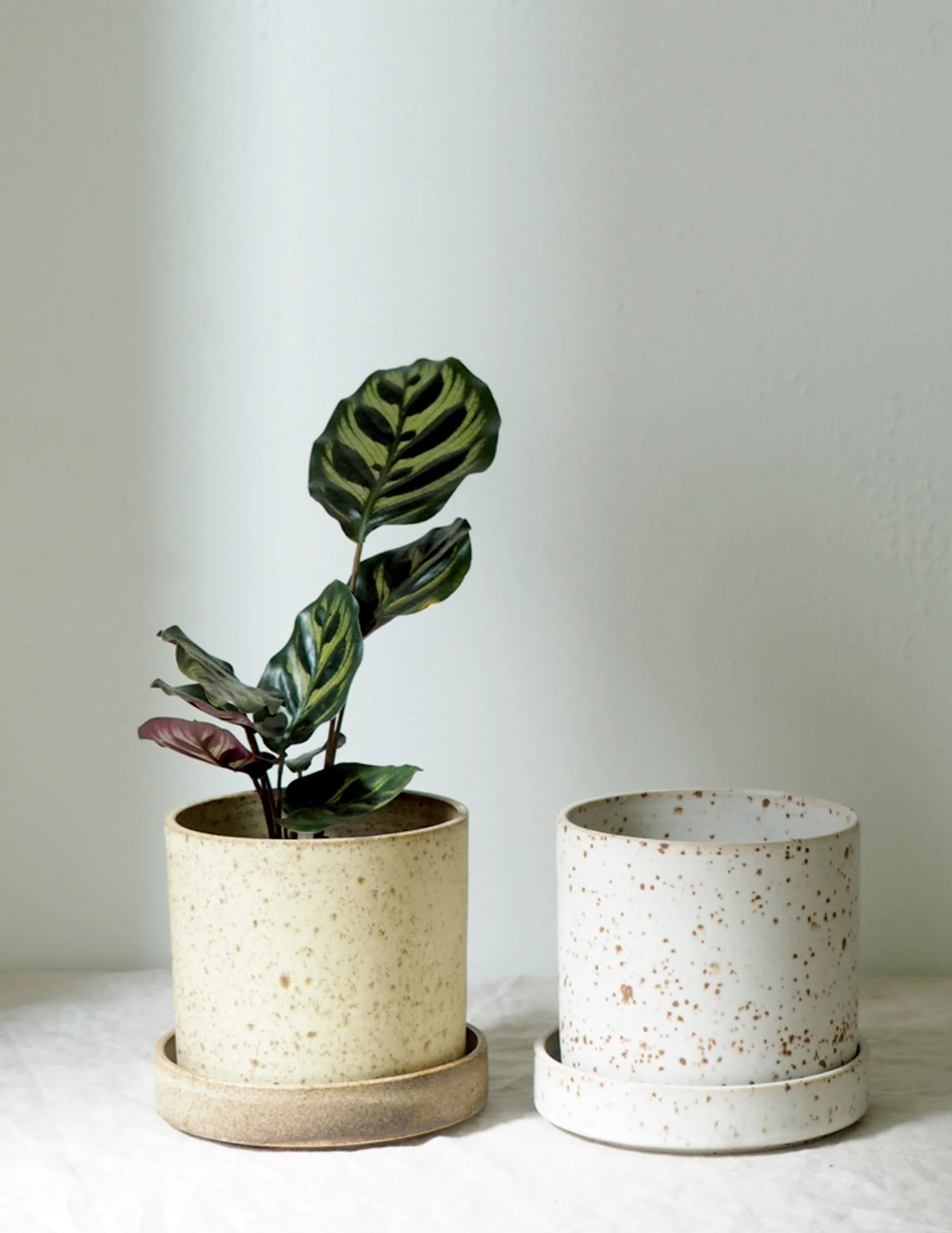 V.O krukke - hvid, small