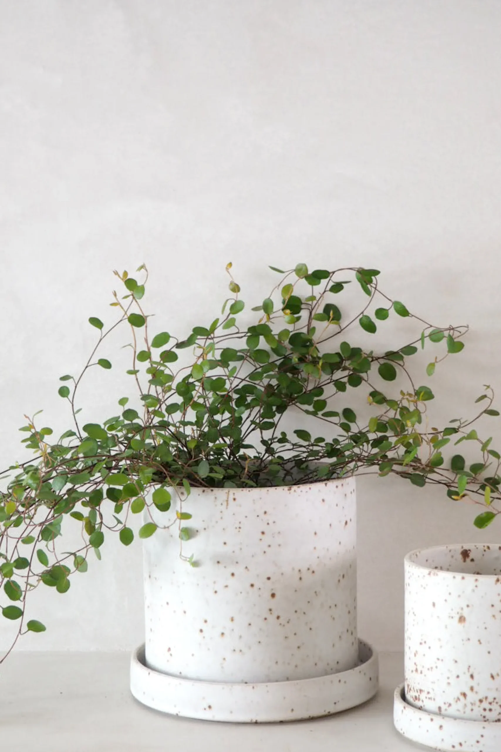 V.O krukke - hvid, small